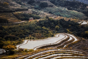 老梅溪梯田
