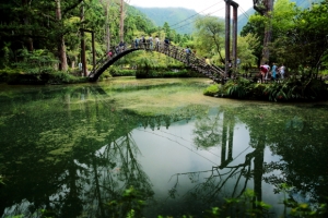 7-14 南投