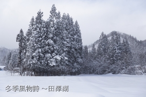 冬季風物詩~~琉璃之湖” ～田澤湖-------庒脚仔