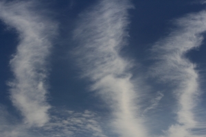 我是天空的一片雲