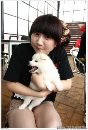 2011-08-27 愛戀狐狸王國‧柏林聚會