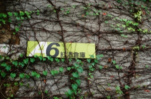 KODAK 100D電影正片試拍-華山+台大