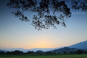 竹東生態公園 晨