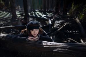 森林風-Irene(枯水期忘憂)