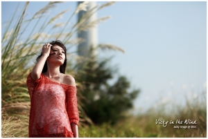 【Vicky】 in the Wind