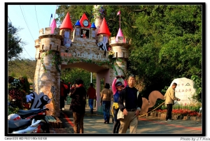 2008竹市十八尖山賞花月~隨手拍