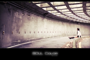 SOUL COLOR