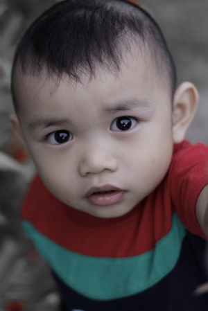 EF50mm F1.8试拍