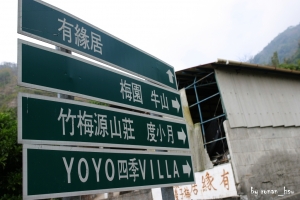 <梅似雪,與花比嬌>
