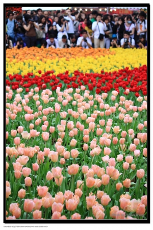 香港花卉展 2010