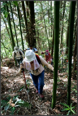 20150614 凸龜縱走芙蓉山，加碼大凍山。