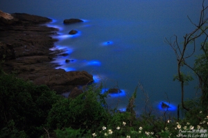 中年"拍"的奇幻漂流......