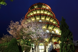 淡水，無極天元宮 ，櫻 SAKURA