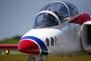 沒有羽毛鳥打打鐵皮鳥...<2空中彩帶>