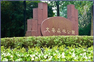 2012 杰克的隨拍 (9) 大安森林趴趴走~