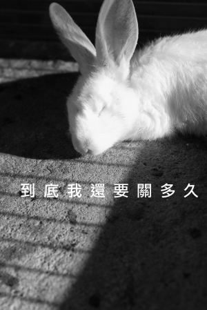 [1DSII]到底我還要關多久