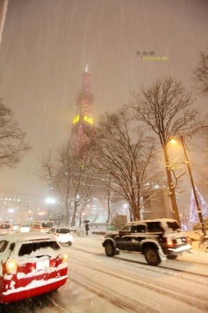 2013北海道  雪之旅