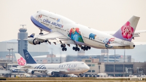 展翅飛翔-2014 by SBM