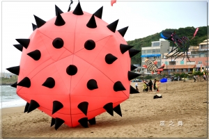 風之舞