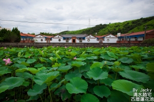 清水趙宅古厝蓮花池