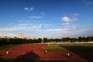 在地狼的新莊運動公園