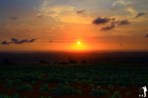 20150615親子部落 夕彩