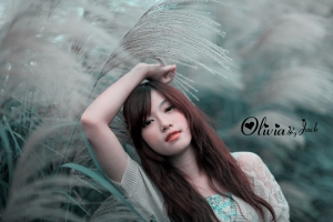 想念の季節~Olivia