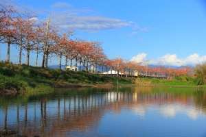 103熱門點~林初埤