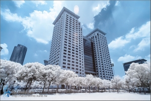 新板特區．仲夏半IR