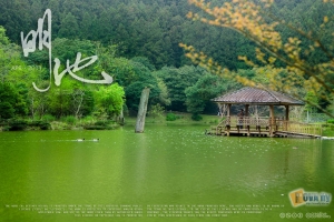 明池．綠意
