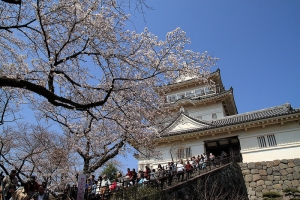 2015東京和郊區自助旅行 ( 小田原城 )DAY3 上