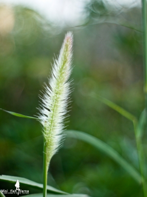 [LDS]天氣轉變中~衝景記得保暖呦❤❤❤