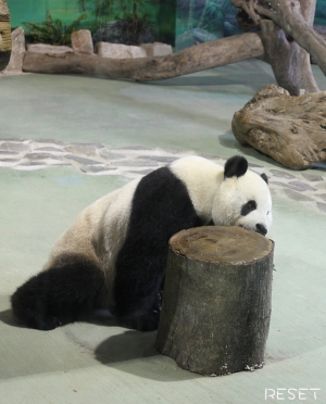 動物園一日遊