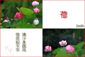 泰利過後~~~~~荷況???