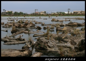 2009將成歷史，2010年即將到來