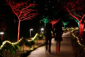 Butchart Garden X'mas light