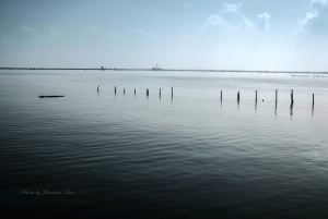 台南七股鄉網仔療汕島