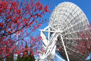 1/31 陽明山 平菁街42巷&新北 二重疏洪道 by 糖哥