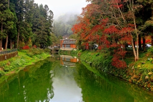 杉林溪