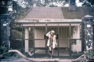 Fei Fei | 冬 氛 Winter atmosp |
