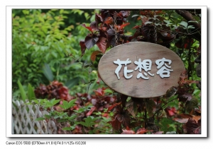 隨手拍拍小花^^