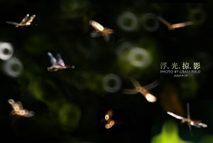浮光掠影