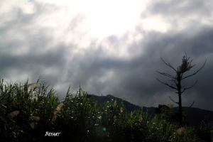 2013-溪頭好天氣