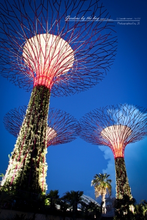週末放一帖夜景：Gardens by the bay