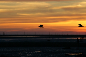 ~夕陽伴我歸~