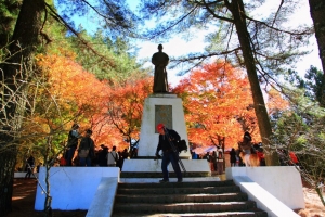 看嫣紅染半山(福壽山)