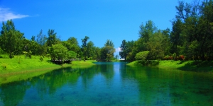 2012台東之旅~