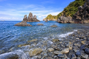 宜蘭 東澳粉鳥林