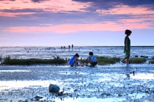 香山夕照