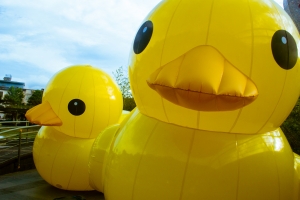 專屬MD~~~~~~~~~~~~~~~~